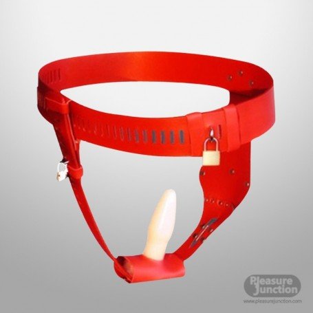 Chastity Lock Device for Women BDSM-002