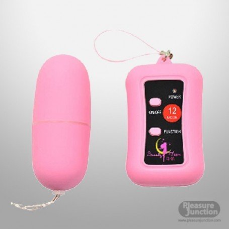 Remote Control Vibrating Egg BV-003
