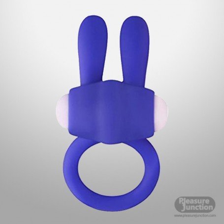 Kingfansion Mini Vibrating Rabbit Cock Ring (Blue) CR-017