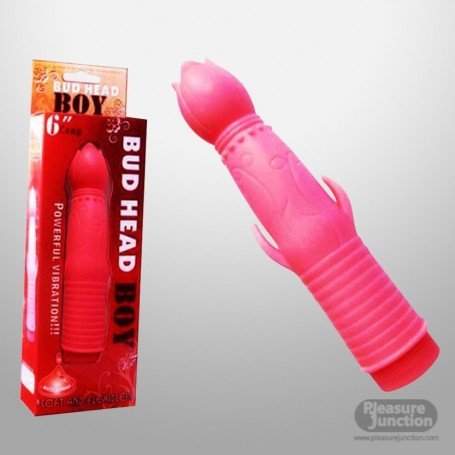 Bud Head Boy Fun Vibrator FV-001 