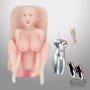 US Cool Woman Simulation Senso Pussy Vagina Small Dollls SLD-008